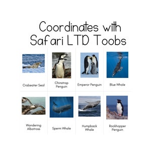 Antartica Toob - Tarjetas de identificación Safari LTD
