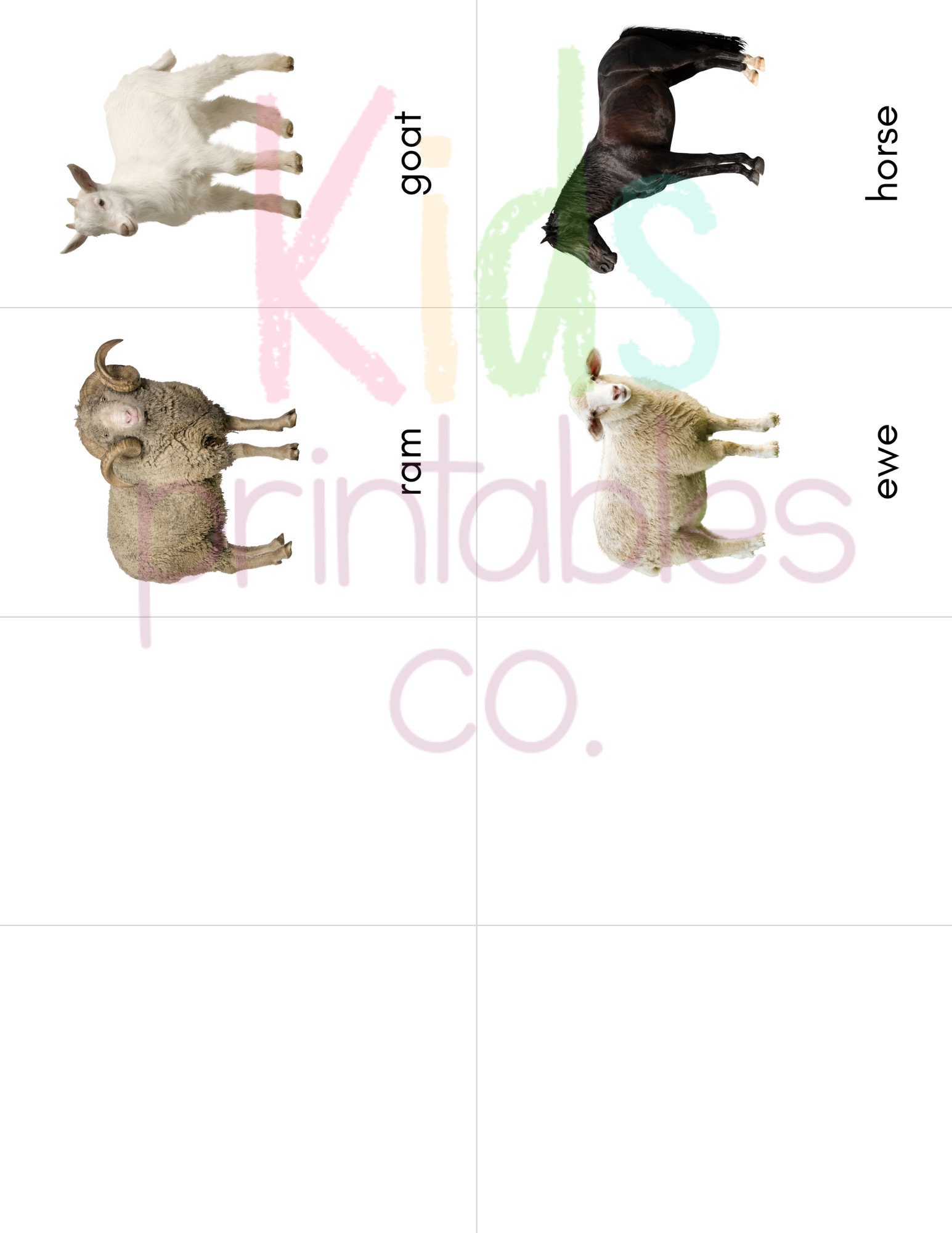 Farm Animals Toob Safari LTD Identification Cards - Etsy Farm Animals Toob Safari LTD Identification Cards - Etsy