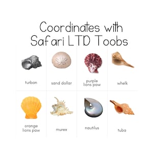 May include: A set of eight different seashells, each with a unique shape and color. The shells are arranged in a grid, with the names of each shell written below them. The names of the shells are: turban, sand dollar, purple lions paw, whelk, orange lions paw, murex, nautilus, and tuba.