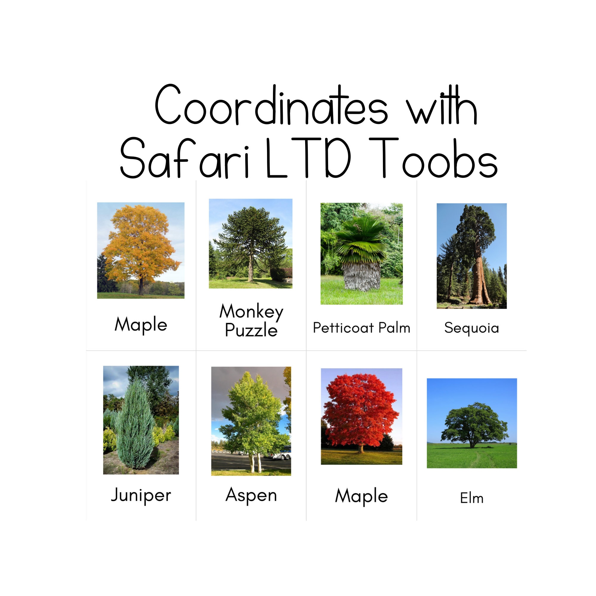 Trees Toob - Safari LTD Identification Cards - Etsy