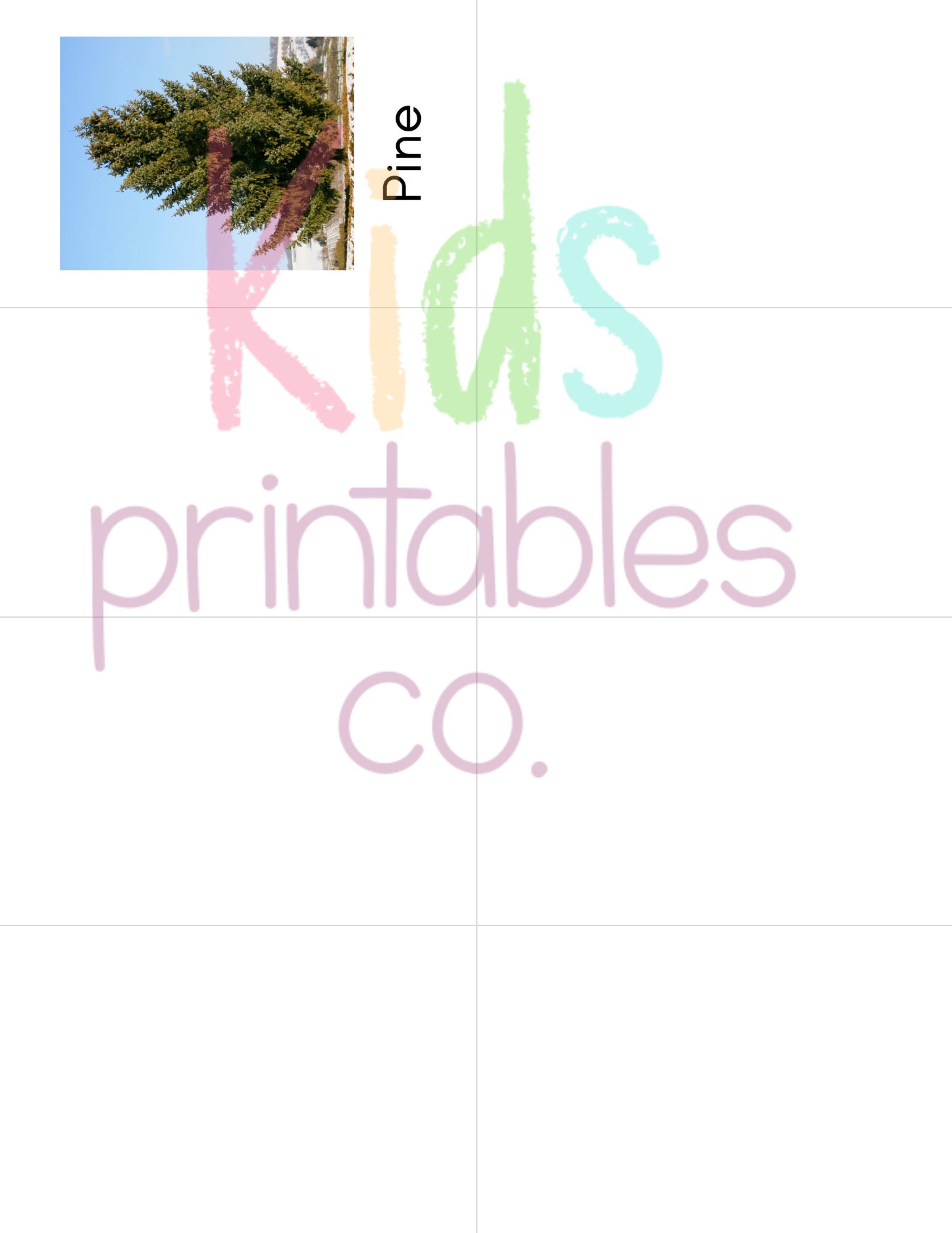 Toob Tree Trees Toob - Safari LTD Identification Cards - Etsy