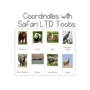 NOUVEAU!* Animaux asiatiques Toob - Cartes d'identification Safari LTD