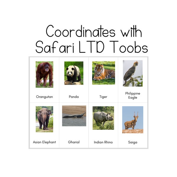 NEW!* Asian Animals Toob - Safari LTD Identification Cards