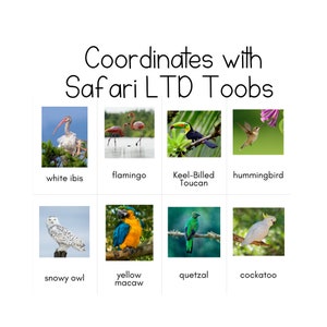 Toob de aves exóticas - Tarjetas de identificación Safari LTD