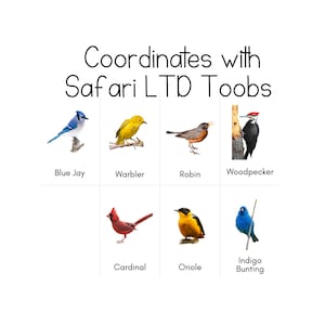 Backyard Birds Toob - Safari LTD Identification Cards