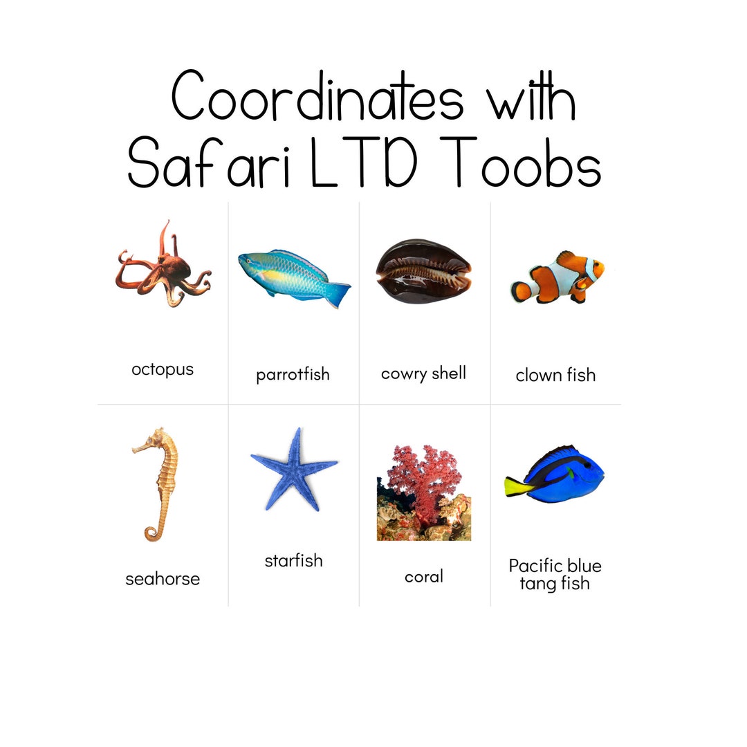 Coral Reef Toob - Safari LTD Identification Cards - Etsy