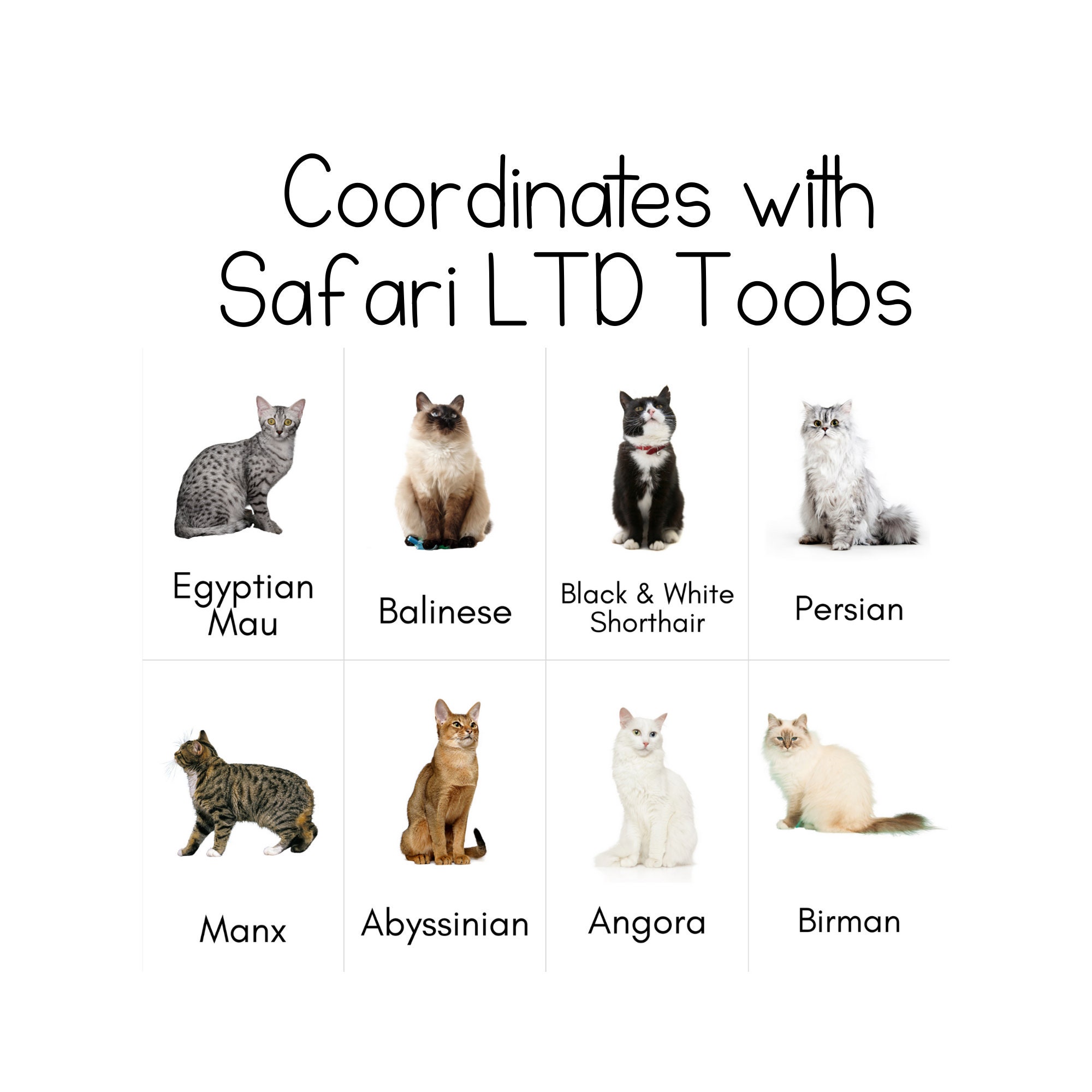Safari ltd cats sales