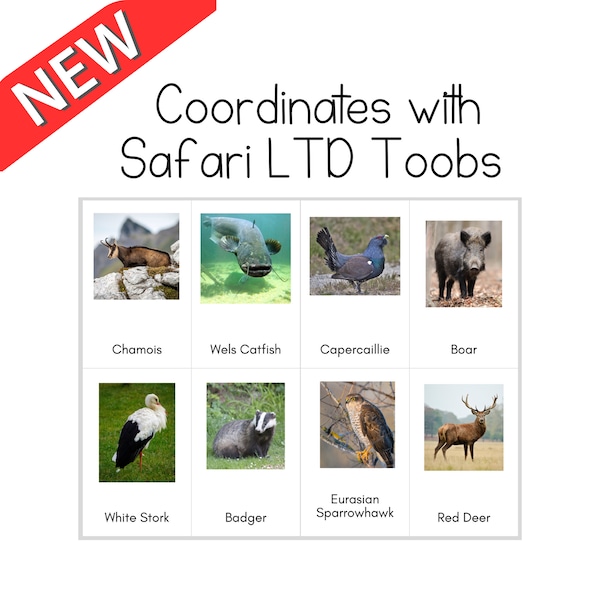 European Animals Toob - Safari LTD Identification Cards
