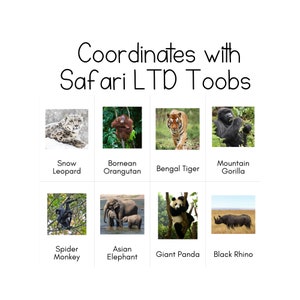 Bedreigde dieren (land) Toob - Safari LTD-identificatiekaarten