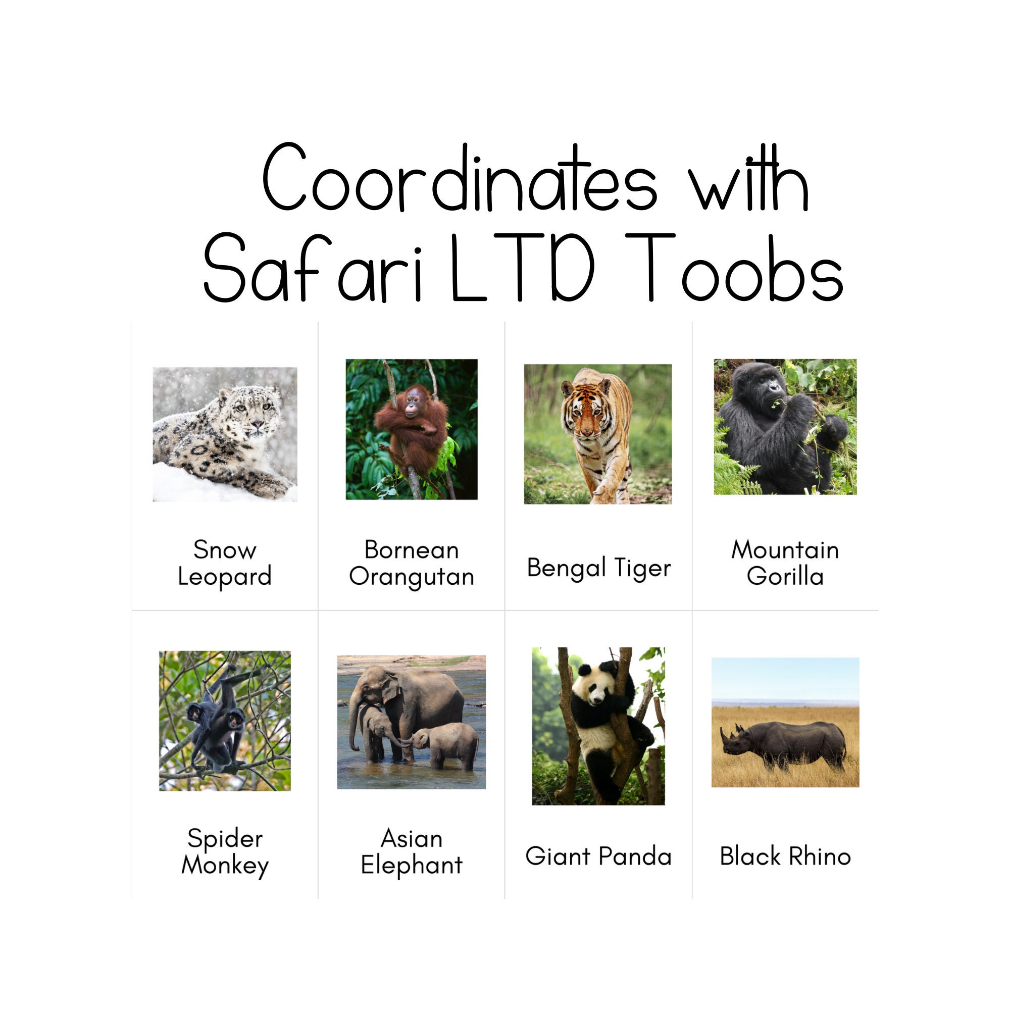Endangered Animals land Toob Safari LTD Identification - Etsy Hong Kong Endangered Animals land Toob Safari LTD Identification - Etsy Hong Kong