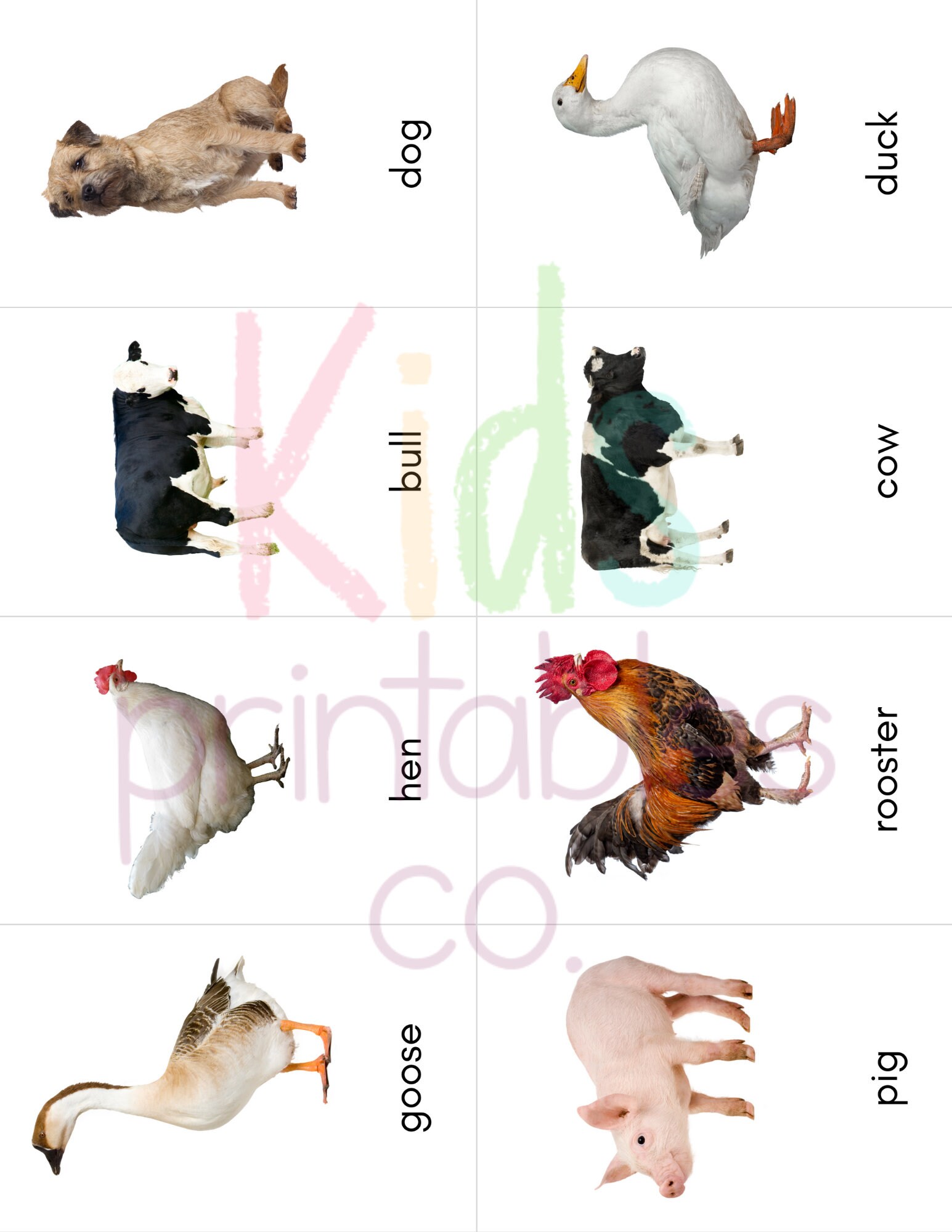 Farm Animals Toob Safari LTD Identification Cards - Etsy Farm Animals Toob Safari LTD Identification Cards - Etsy