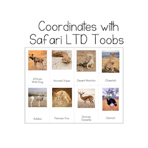 NOVITÀ!* Toob degli animali del deserto del Sahara - Carte d'identità Safari LTD