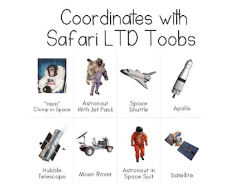 Space Toob - Cartes d'identification Safari LTD