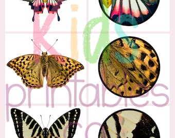 butterfly Matching Printable Busy Bag