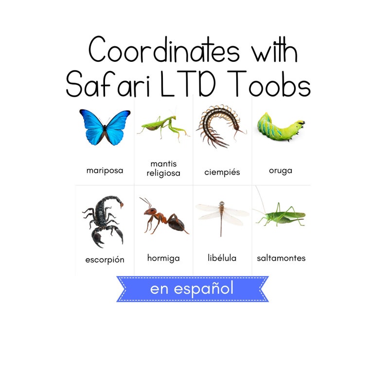 SPANISH - Insects Toob - Safari LTD Identification Cards - Etsy Australia