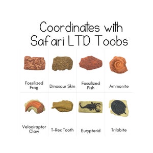 Uralte Fossilien Toob - Safari LTD Identifikationskarten