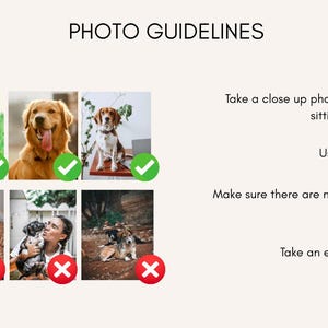 May include: Image with the text "PHOTO GUIDELINES" and examples of pet photos. The guidelines advise taking a close-up photo of a pet sitting or standing, using natural light, ensuring no other pets are in the picture, and taking an eye-level photo.