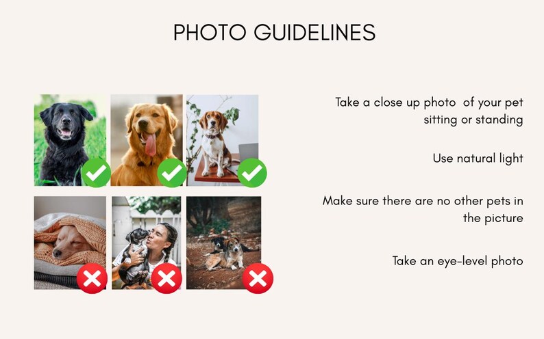 May include: Image with the text "PHOTO GUIDELINES" and examples of pet photos. The guidelines advise taking a close-up photo of a pet sitting or standing, using natural light, ensuring no other pets are in the picture, and taking an eye-level photo.