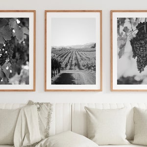 DIGITAL DOWNLOAD [ 3 Digital Prints] Untitled Vintage from the "Meritage" Series