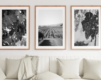 DIGITAL DOWNLOAD [ 3 Digital Prints] Untitled Vintage from the &quot;Meritage&quot; Series