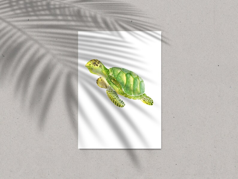 Handmade watercolour painting by Maureen Marble. Digital print Watercolor Turtle