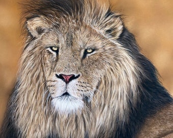 Majestic Lion Portrait: Original Wildlife Art