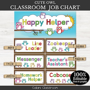 Tableau des tâches pour la classe, Thème de la classe hibou mignon, Cartes de tâches modifiables pour la classe, Tableau des tâches de la chouette, Modèle d'affiche, Gestion de classe