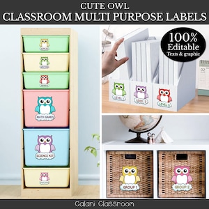 Könnte beinhalten: Klassenzimmer-Organisationsetiketten mit Eulen-Designs. Die Etiketten befinden sich auf Aufbewahrungsboxen, Aktenhaltern und Körben. Text beinhaltet "Materialien", "Schreiben", "Phonik", "Mathe-Spiele" und "Wissenschaftskit". Die Etiketten sind zu 100 % editierbar.
