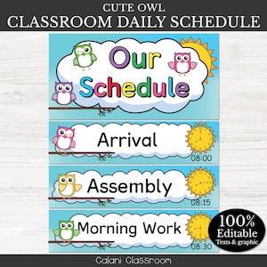 May include: A classroom daily schedule with a cute owl theme. The schedule includes "Our Schedule", "Arrival", "Assembly", and "Morning Work". Each section features a colorful owl illustration and a time. The text "100% Editable Texts & graphic" is also included.