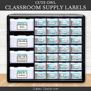 Classroom Supply Label, Dinosaur Classroom Theme, Dino Editable Classroom Label, Teacher Supply Label, Classroom Setup, Dino Classroom Décor