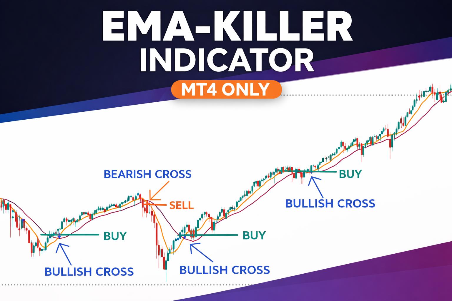 Indicator - Etsy 日本