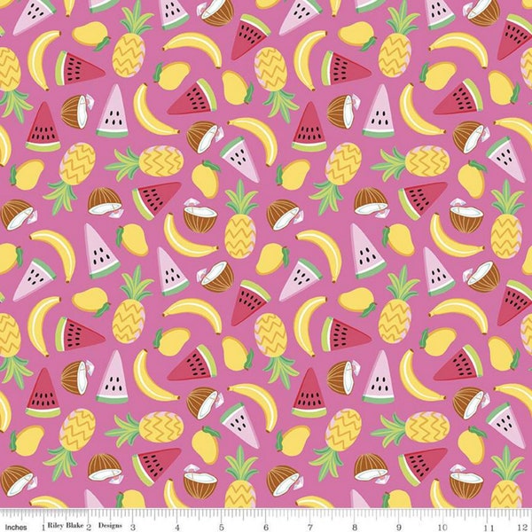 Lets Get Coconuts - Hot Pink - RAINBOW FRUIT - by Amber Kemp-Gerstel of Damask Love - Riley Blake Designs - Quilting Fabric - C10891-HOTPINK