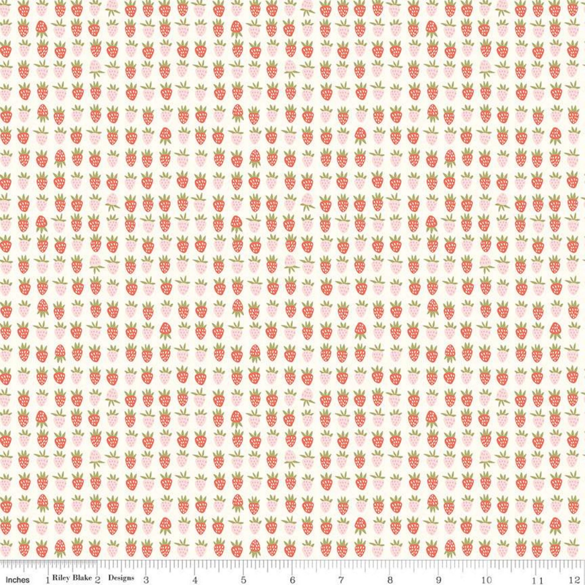 New Dawn 12 Yard Increments C9853 Blush Strawberry by Citrus and Mint for Riley Blake Designs Cut Continuously