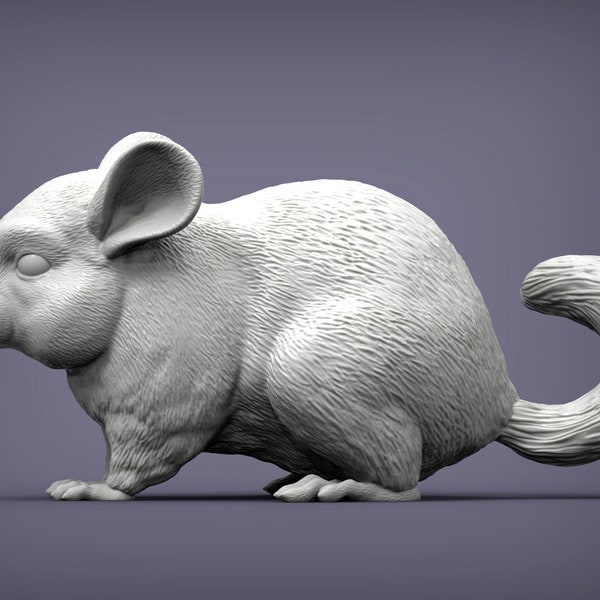 3D Printed Chinchilla Statue