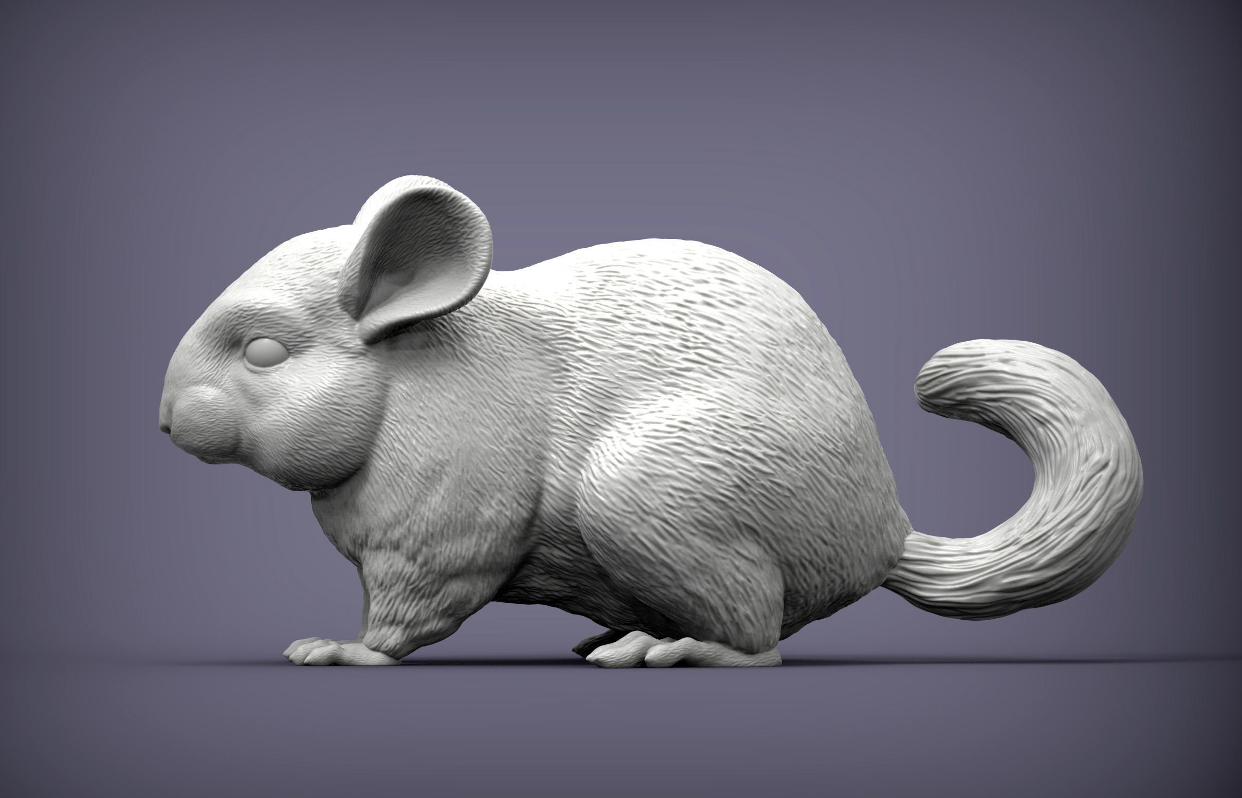 Chinchilla Figurine 3D Printed Small Animal Sculpture for Shelf Decor or  Pet Tribute - Etsy