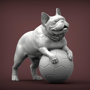 Puede incluir: Una figurita de bulldog francés blanco jugando con un balón de fútbol blanco. La figurita está de pie sobre sus cuatro patas y tiene sus patas delanteras sobre el balón.