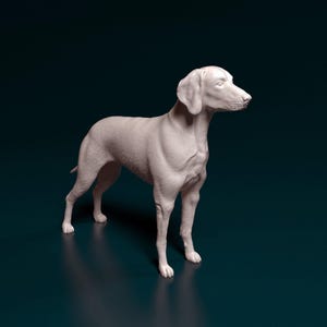 Weimaraner Dog Figurine 3D Printed Model for Pet Memorial or Shelf Decor