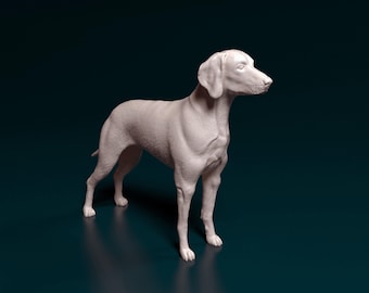 Weimaraner Dog Figurine 3D Printed Model for Pet Memorial or Shelf Decor