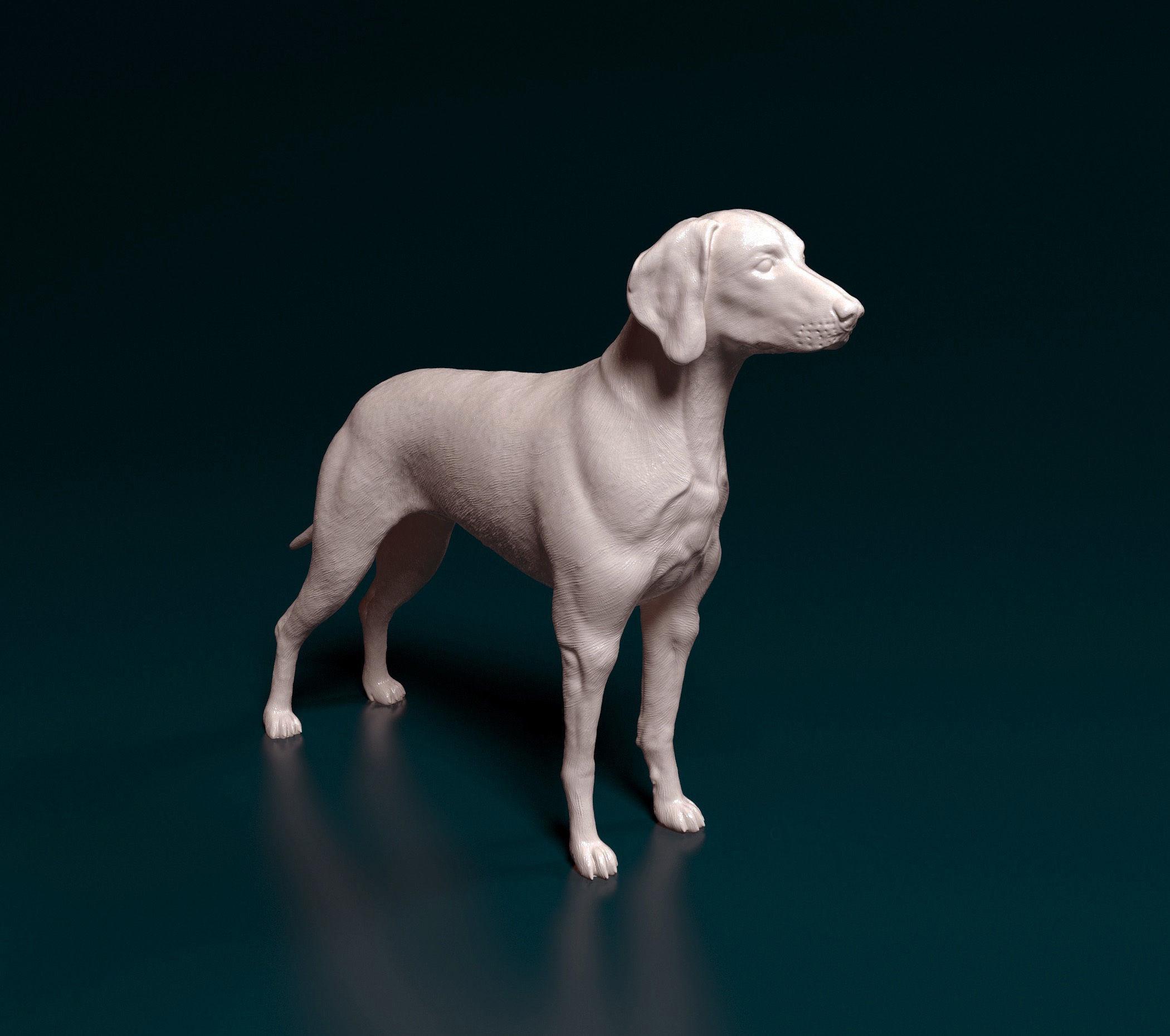 Harriet Glen's Braque de Weimar Sculpture effet bronze Décoration d'intérieur ou idée cadeau Hauteur 11 cm