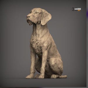 May include: A tan-colored, detailed sculpture of a seated dog with floppy ears and a textured coat. The figure is depicted in a sitting position, facing toward the left. The text 3D ALEXANDER ART is visible in the upper right corner of the image.