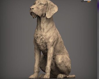 Sitting Hungarian Wirehaired Vizsla Figurine, 3D Printed Hunting Dog Sculpture, Vizsla Gift