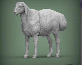 Standing Gissar Sheep Figurine, 3D Printed Farm Animal Sculpture, Sheep Lover Gift