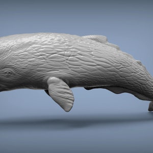 3D Printed Sperm Whale Statue