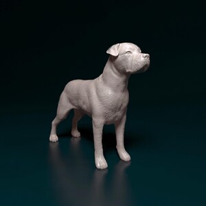 Cane Corso-hondenbeeldje 3D-geprint Mastiff-beeldhouwwerk voor herdenkings- of huisweergave