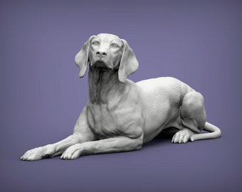 3D Printed Vizsla Dog Statue - Ready-to-paint unpainted printing or painting service by us