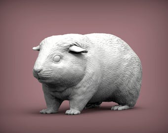 Teddy Guinea Pig Figurine 3D Printed Rodent Sculpture for Pet Memorial or Shelf Decor