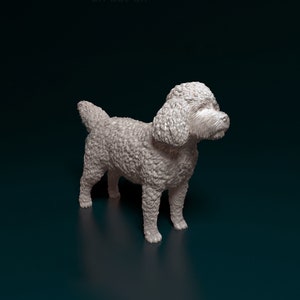 Puede incluir: Una figurita de perro caniche blanco y esponjoso de pie sobre una superficie azul oscuro. El perro está mirando hacia la derecha y tiene la cabeza ligeramente inclinada hacia un lado.