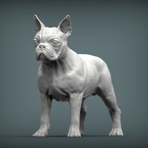 May include: A white, 3D printed model of a French Bulldog standing with its legs slightly apart. The dog is facing forward with its head tilted slightly to the side. The model is detailed with fur and facial features.