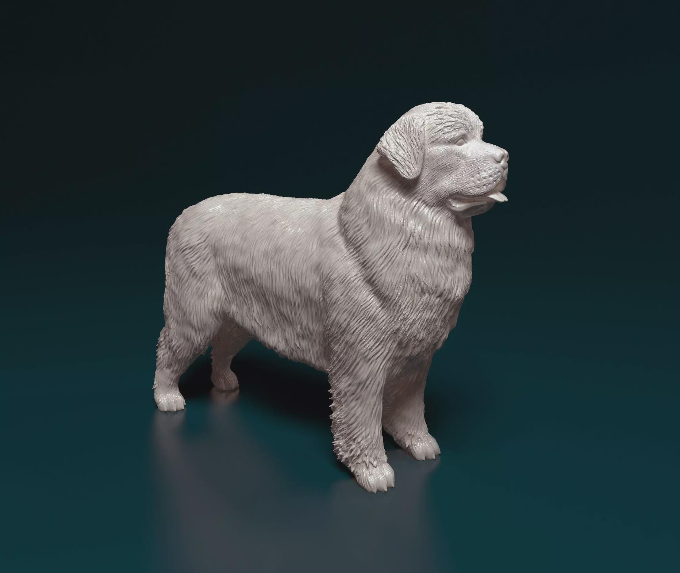 Sandicast dogs - Etsy 日本
