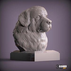 3D Printed Newfoundland Bust – Dog Head Sculpture, Home Decor, Pet Memorial Gift, Gentle Giant Breed Display